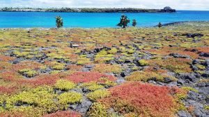 Islas de Darwin en islas galápagos